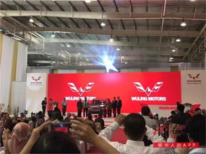 广潍寿光五菱投资管理 实现企业稳健发展的战略路径